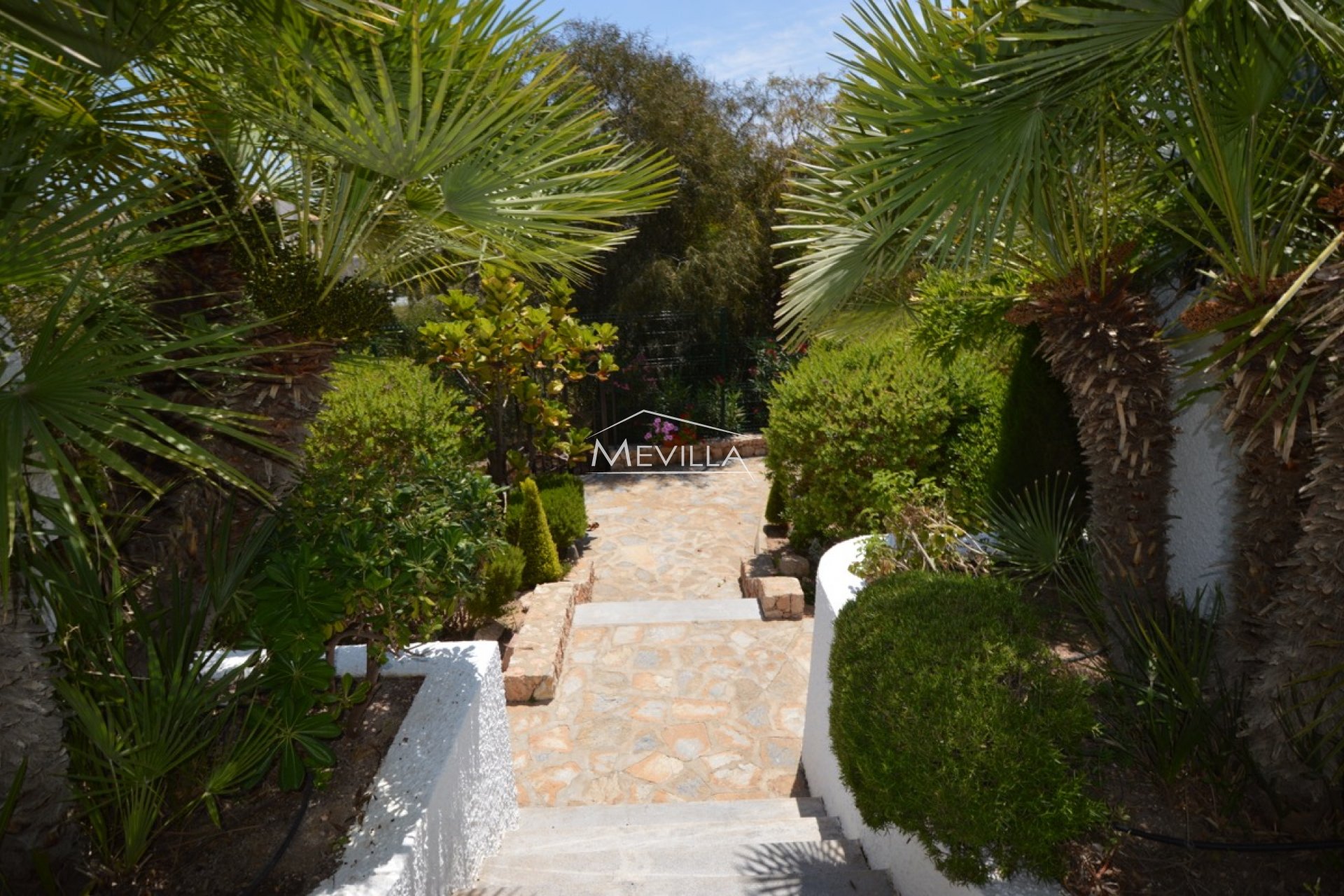 Återförsäljare -  - Orihuela Costa - Cabo Roig