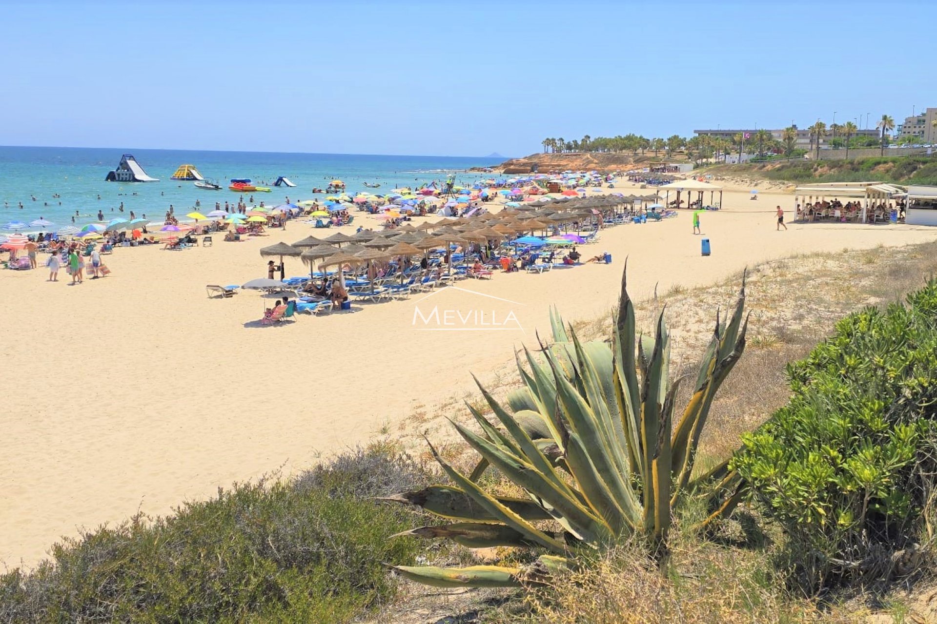 Återförsäljare -  - Orihuela Costa - Mil Palmeras