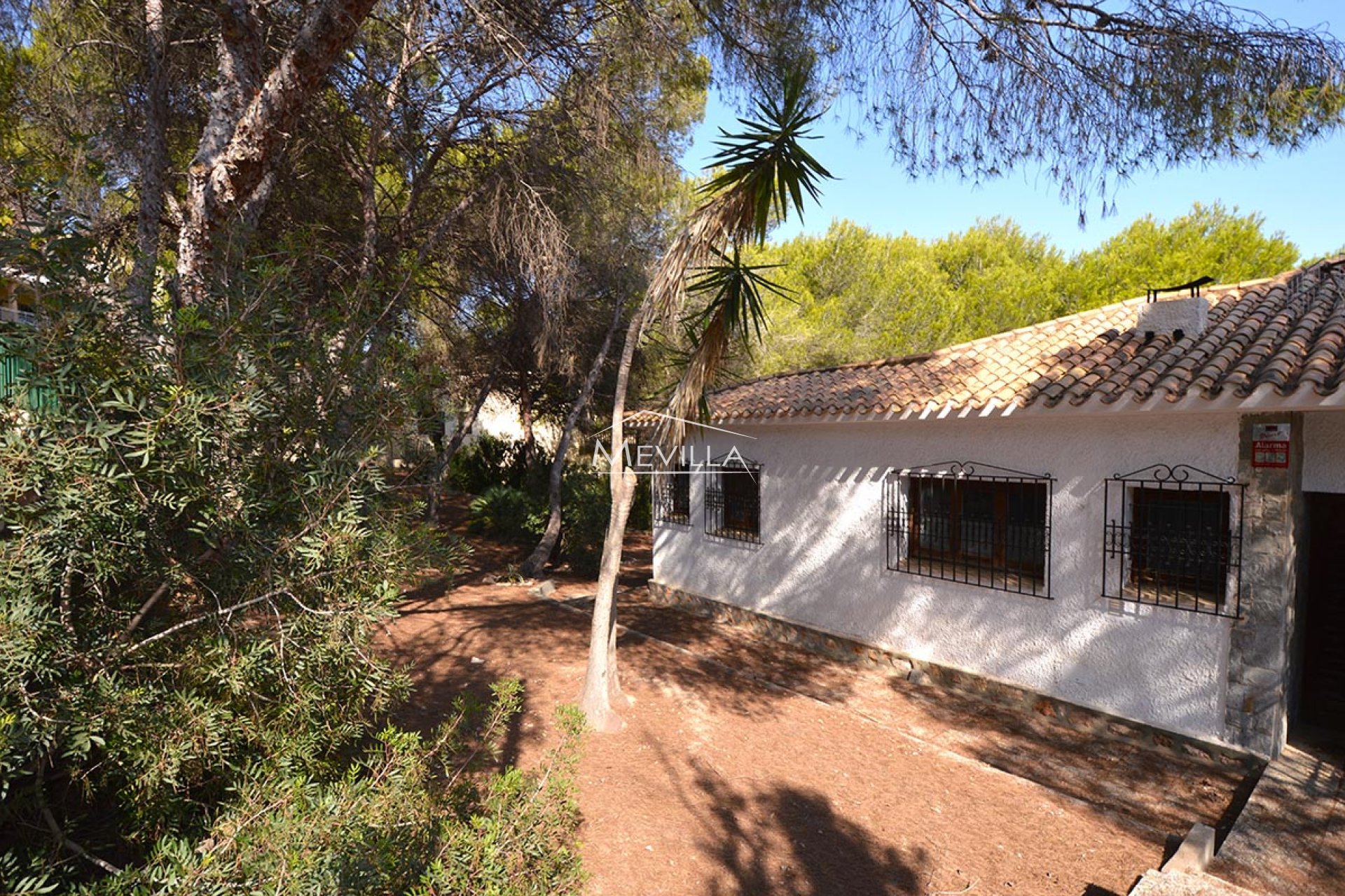 Återförsäljare - Plot - Orihuela Costa - Campoamor