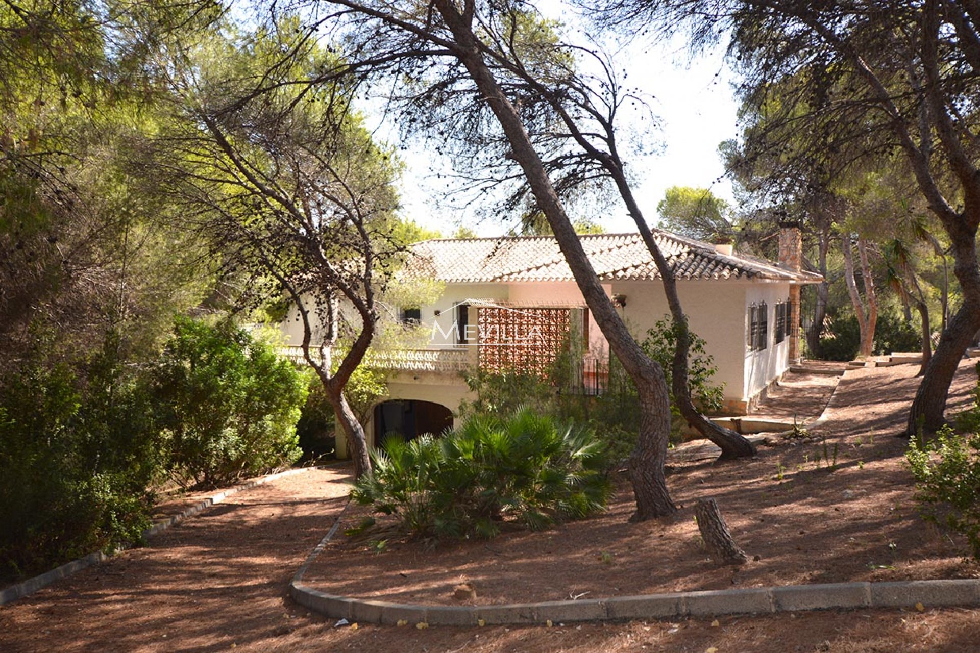 Återförsäljare - Plot - Orihuela Costa - Campoamor