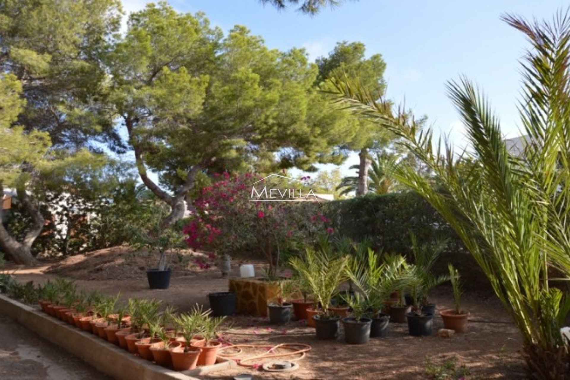 Återförsäljare - Villa - Orihuela Costa - Campoamor