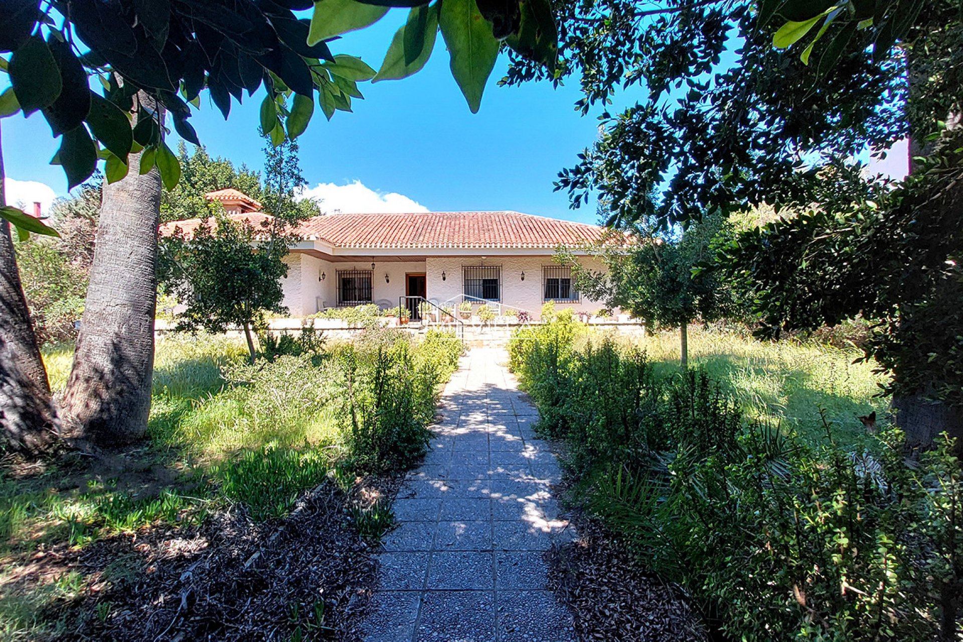 Återförsäljare - Villa - Orihuela Costa - Campoamor