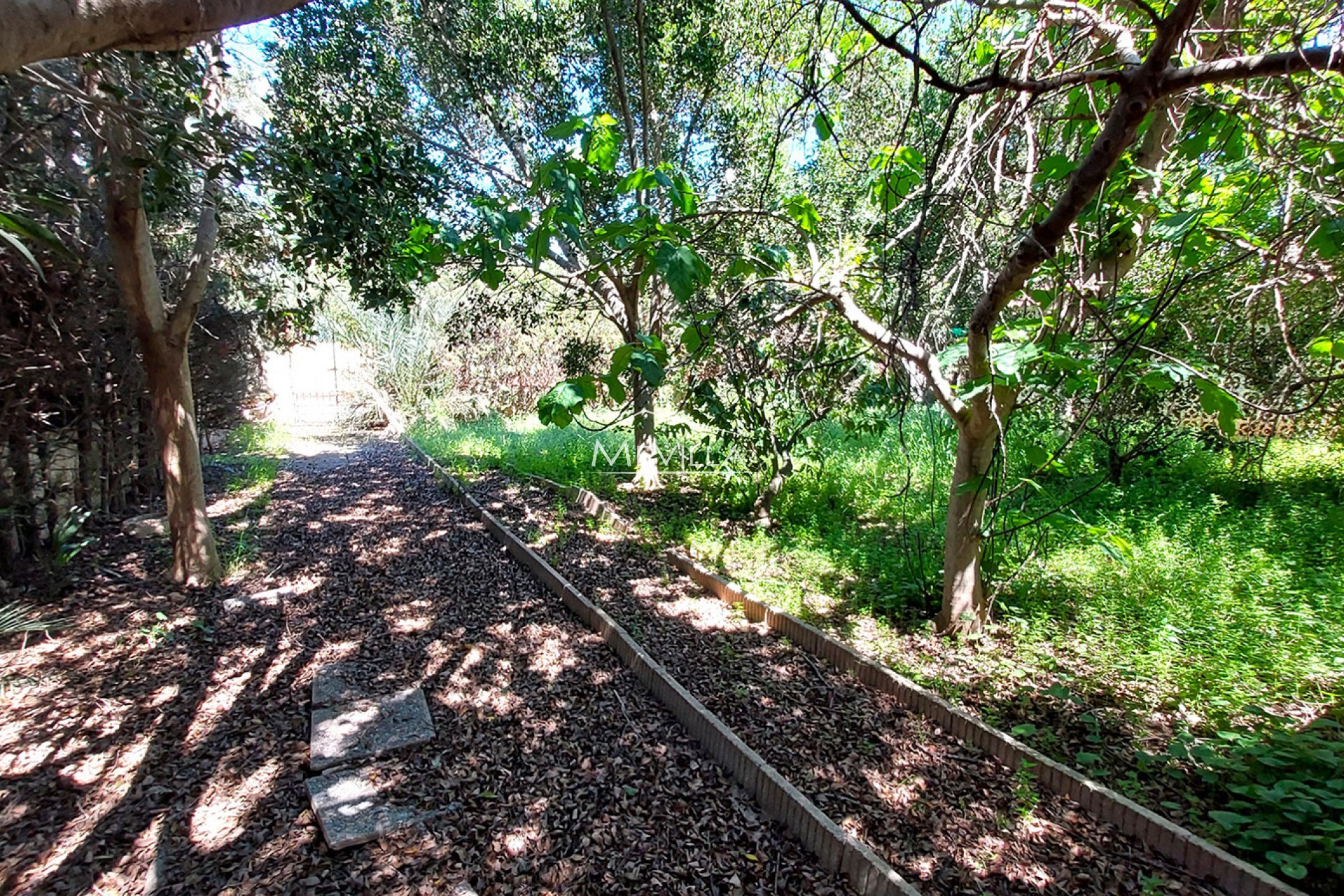 Återförsäljare - Villa - Orihuela Costa - Campoamor