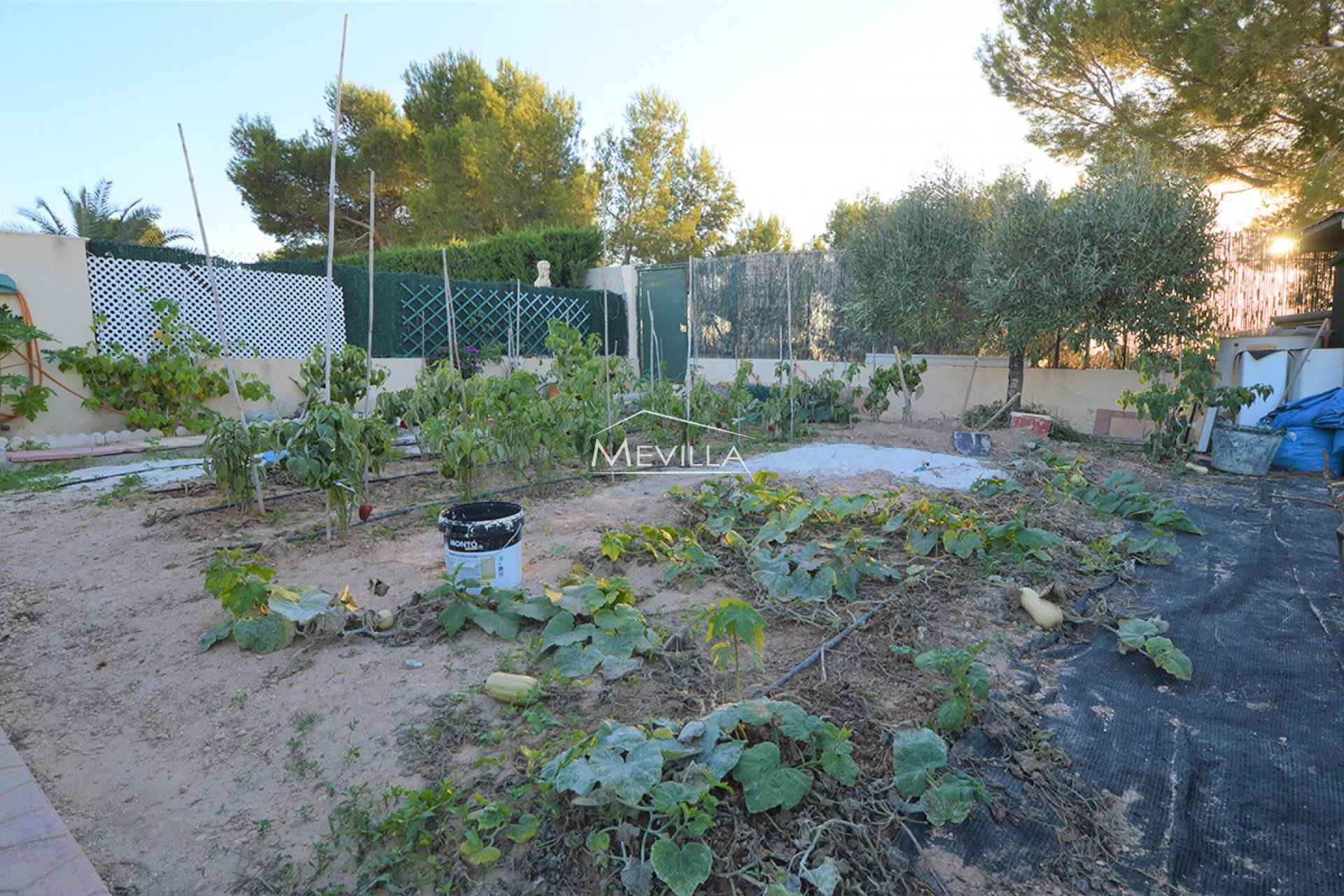 Återförsäljare - Villa - Orihuela Costa - Villamartin