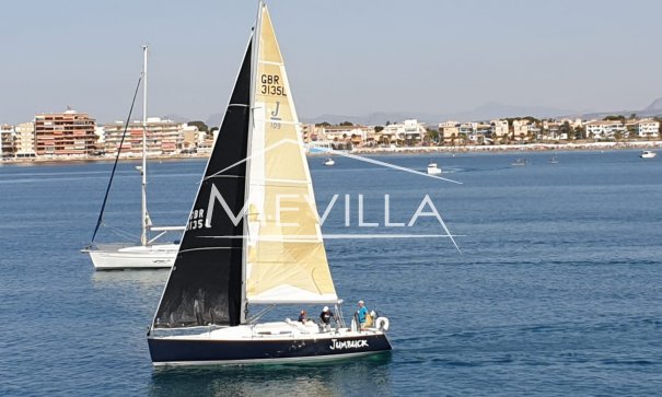 Leiligheter - Utleie - Torrevieja - Torrevieja