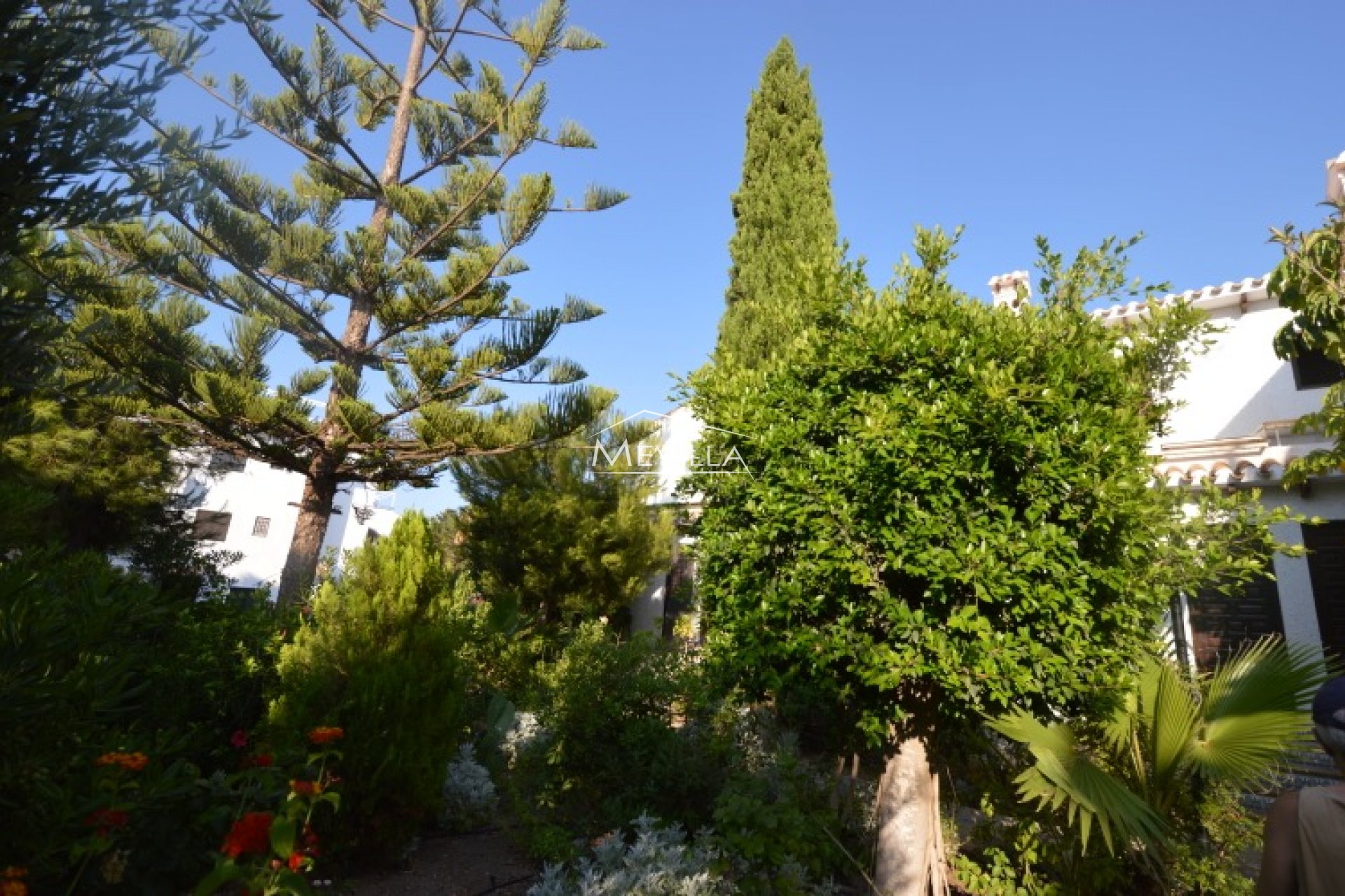 Reventes -  - Orihuela Costa - Campoamor