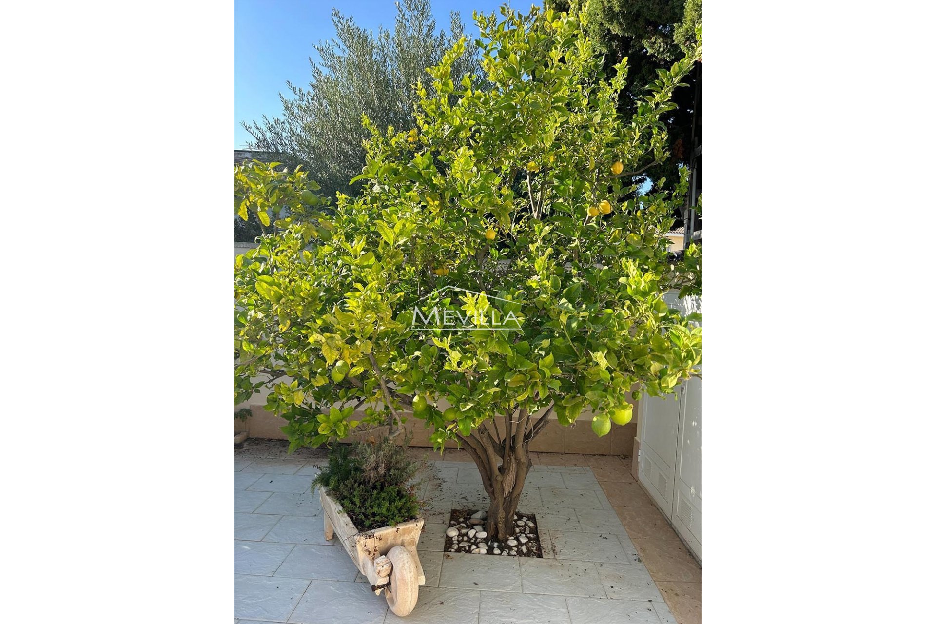 Reventes - Villa - Orihuela Costa - Cabo Roig