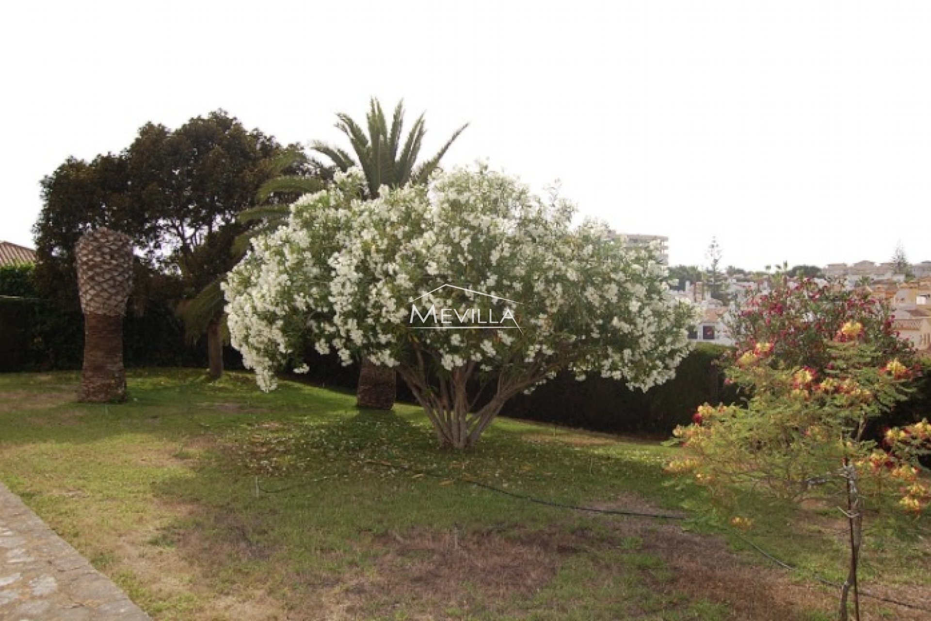 Reventes - Villa - Orihuela Costa - Cabo Roig