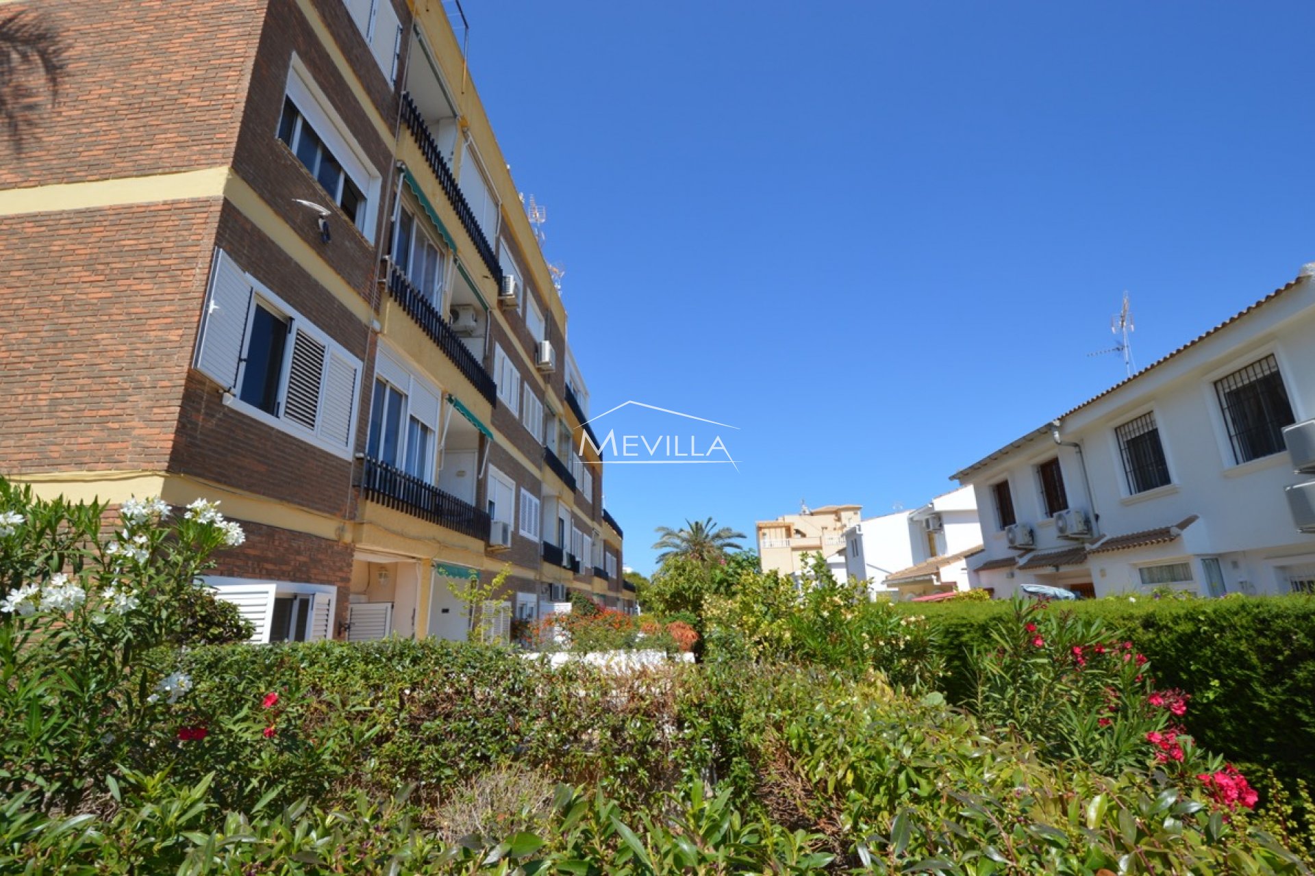 Salg (Resales) - Flat / leiligheter - Orihuela Costa - La Zenia