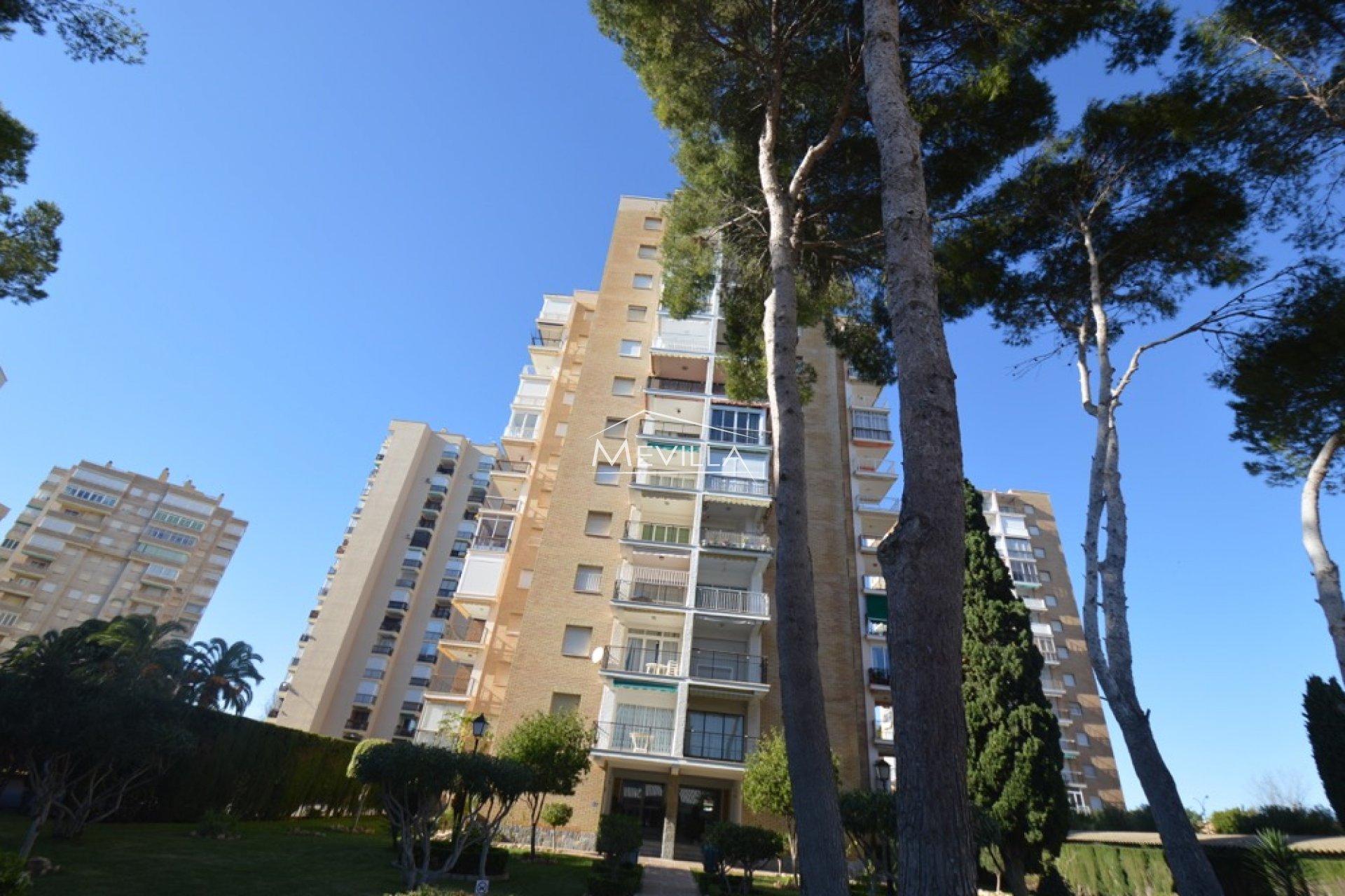 The apartment 