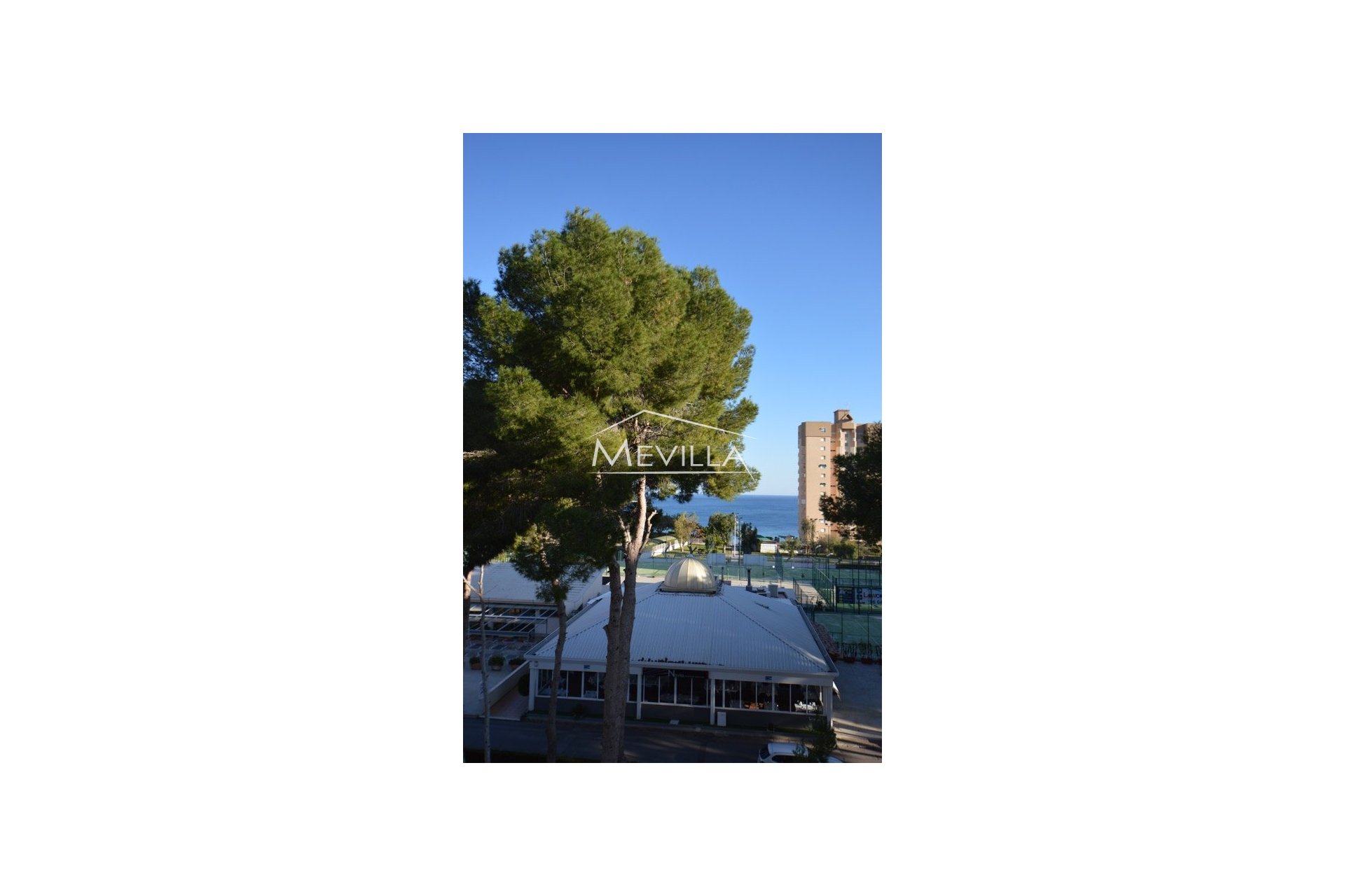 The view from balcony 