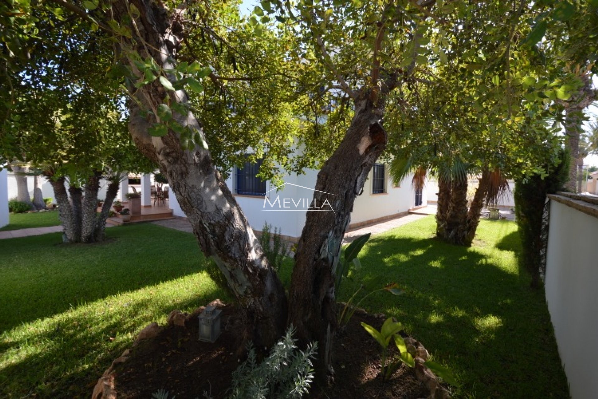 Verhuur - Villa - Orihuela Costa - Cabo Roig