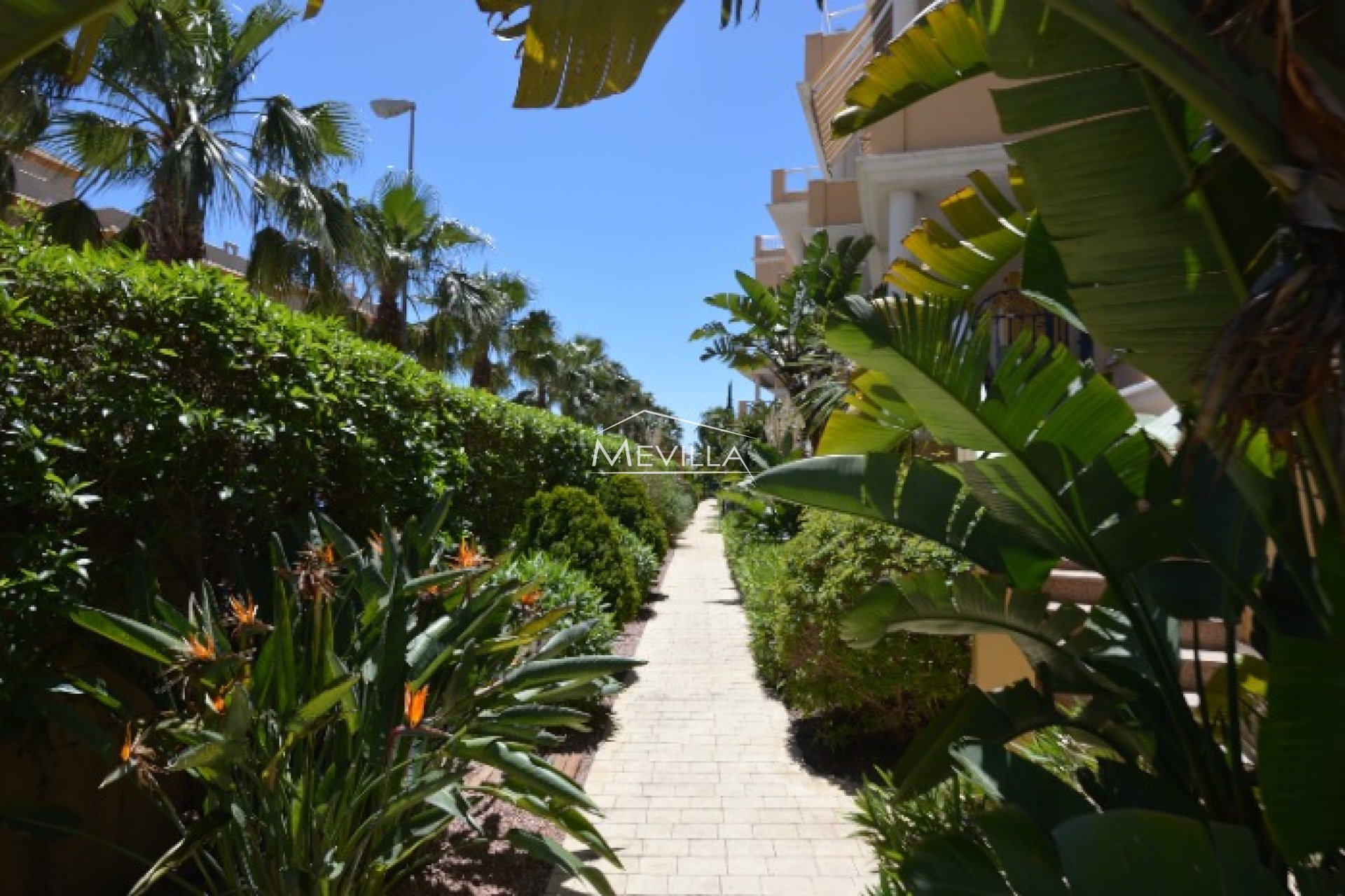 Wederverkoop - Appartement - Orihuela Costa - Cabo Roig