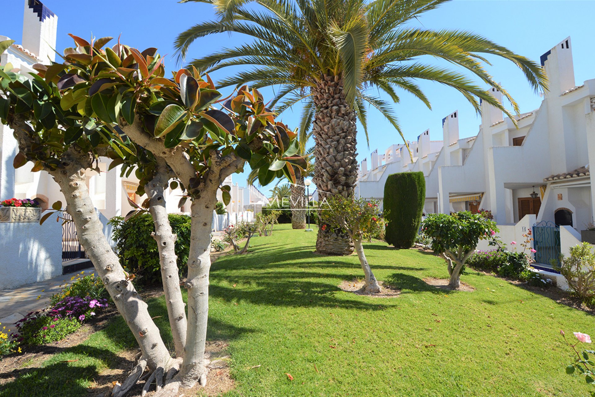 Wederverkoop -  - Orihuela Costa - Cabo Roig