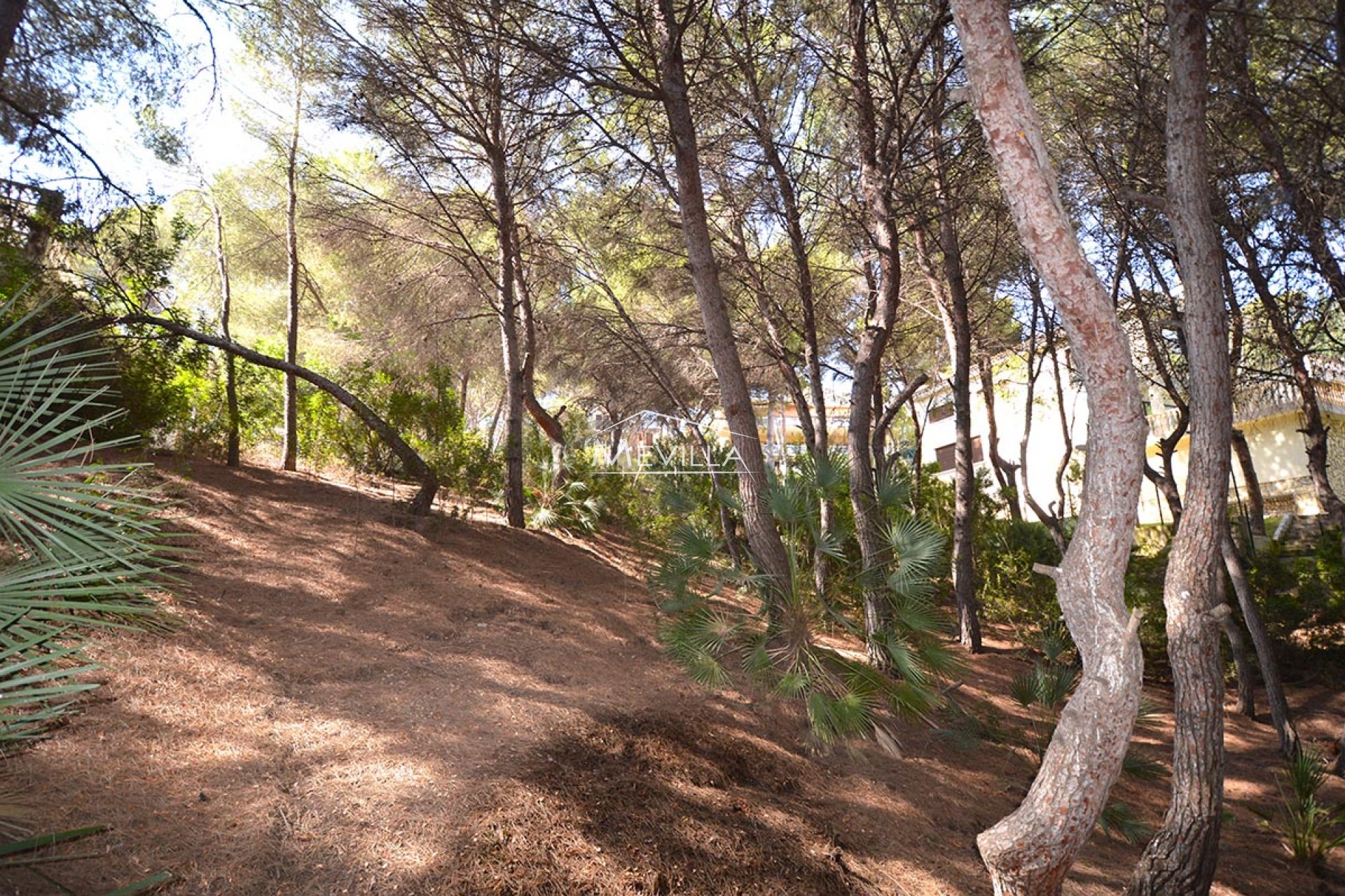 Wederverkoop - Plot - Orihuela Costa - Campoamor