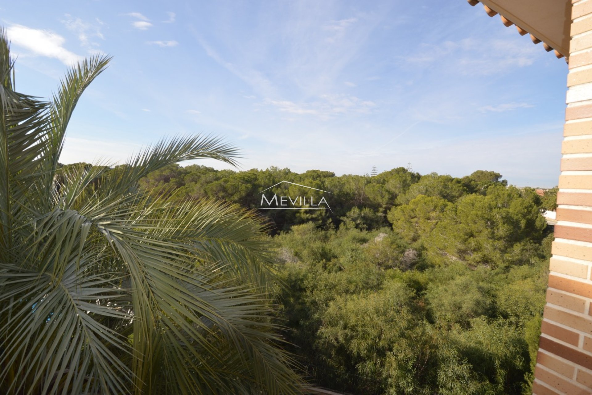 Wederverkoop - Villa - Orihuela Costa - Campoamor