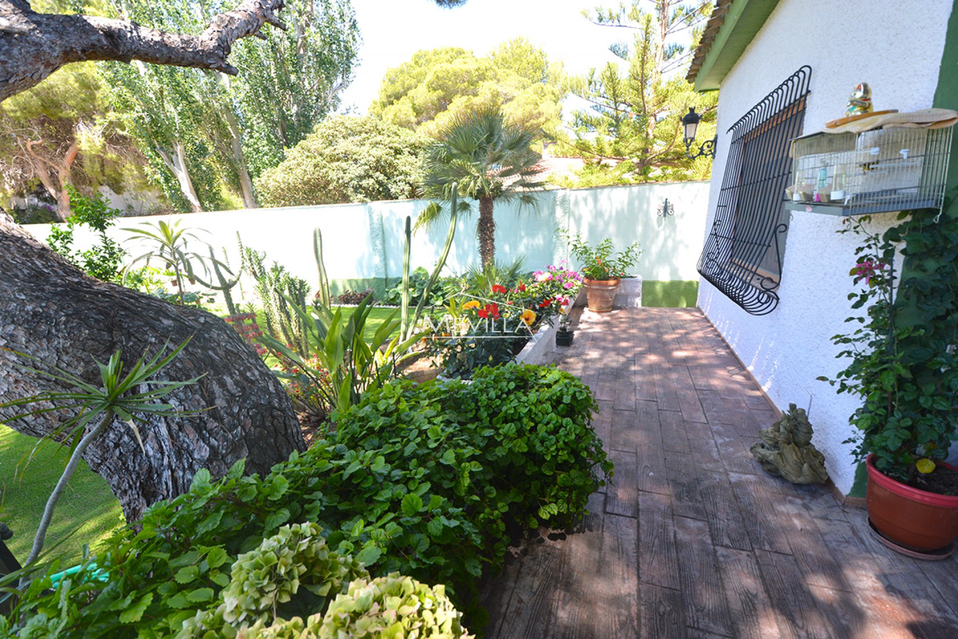 Wederverkoop - Villa - Orihuela Costa - Campoamor