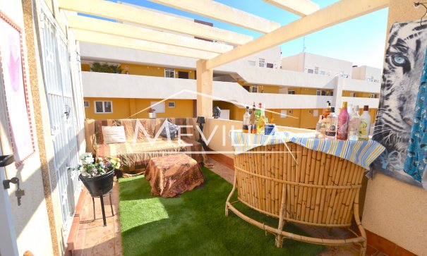 The terrace