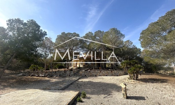 Resales - Villa - Orihuela Costa - Punta Prima