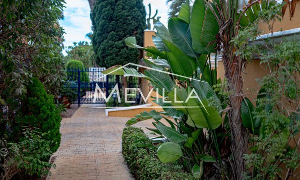 Resales - Apartment - Orihuela Costa - Cabo Roig